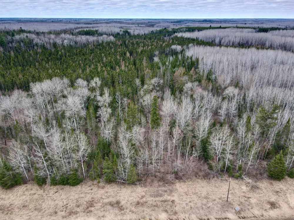 TBD Hwy 65 Nashwauk, MN 55769