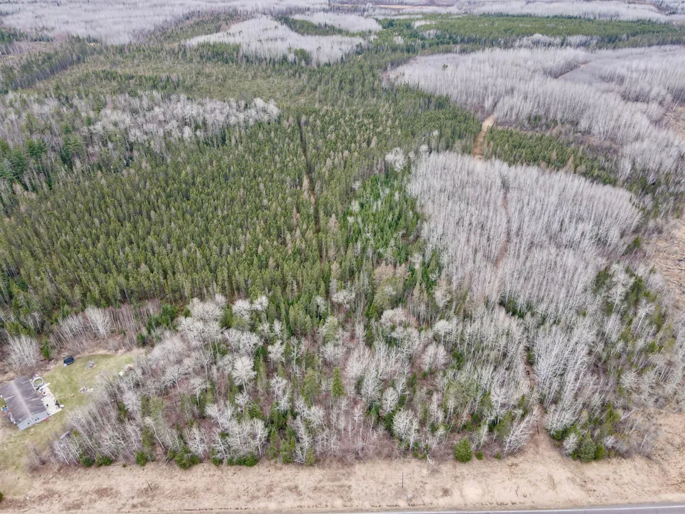 TBD Hwy 65 Nashwauk, MN 55769