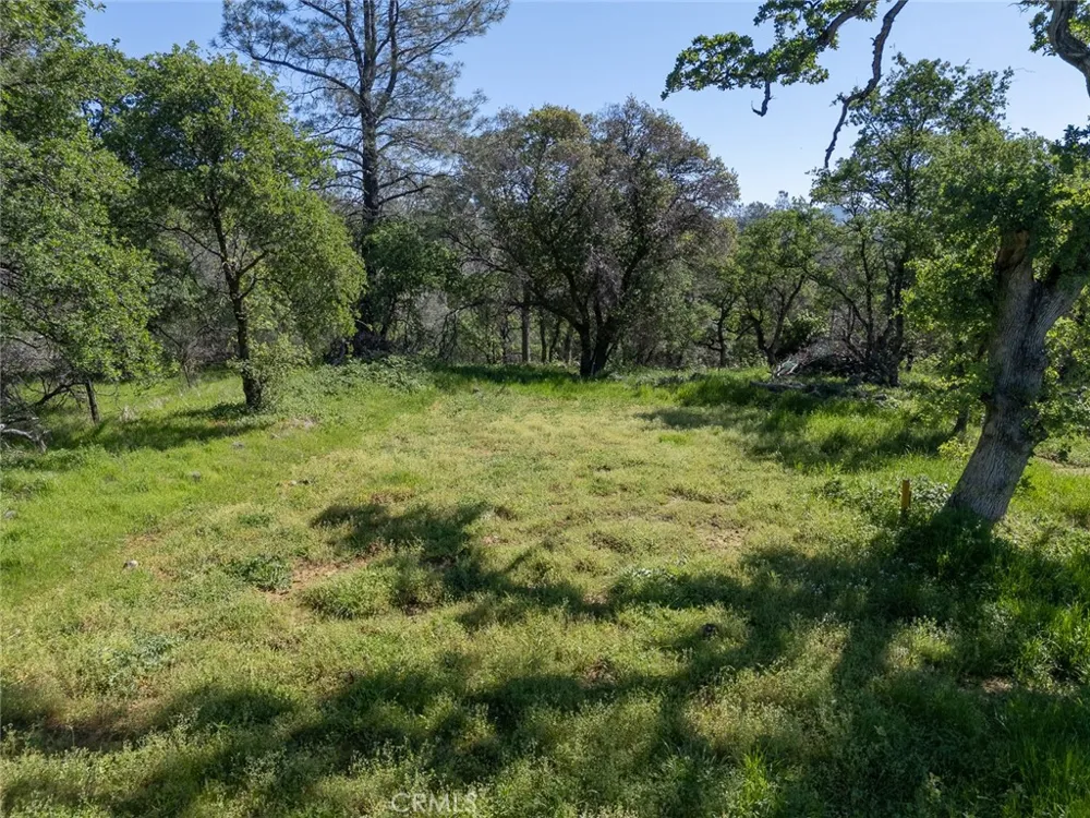 berwick lane Oroville, CA 95966