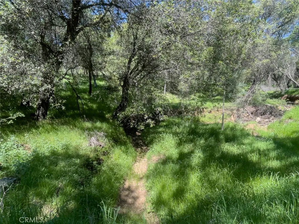 berwick lane Oroville, CA 95966