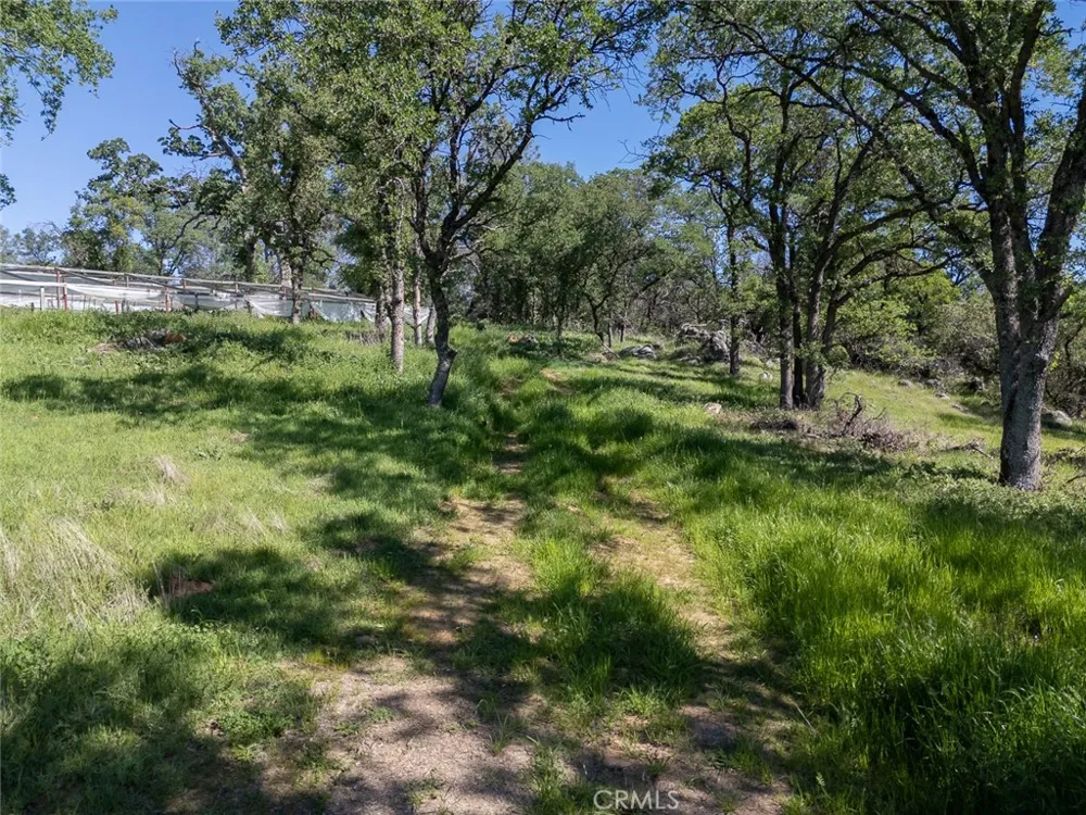 berwick lane Oroville, CA 95966