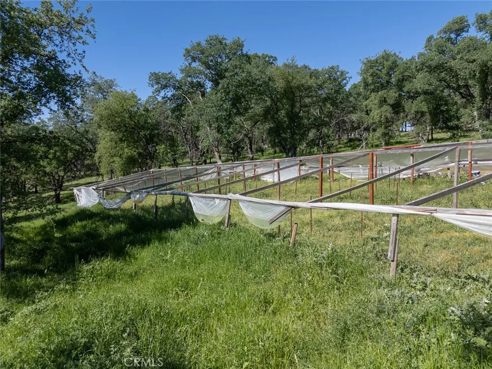 berwick lane Oroville, CA 95966