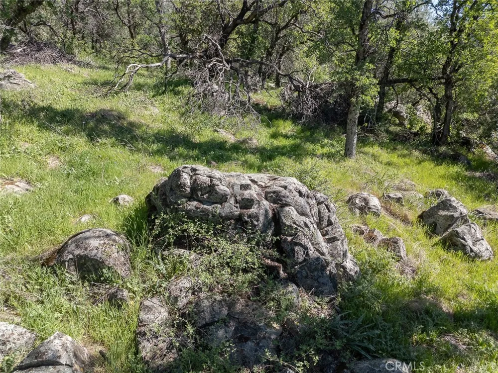berwick lane Oroville, CA 95966