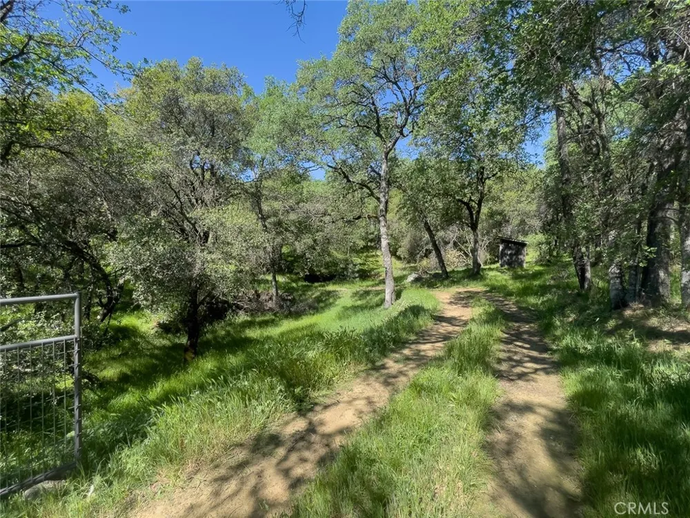 berwick lane Oroville, CA 95966