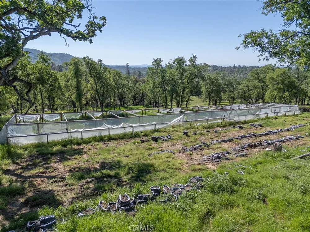 berwick lane Oroville, CA 95966