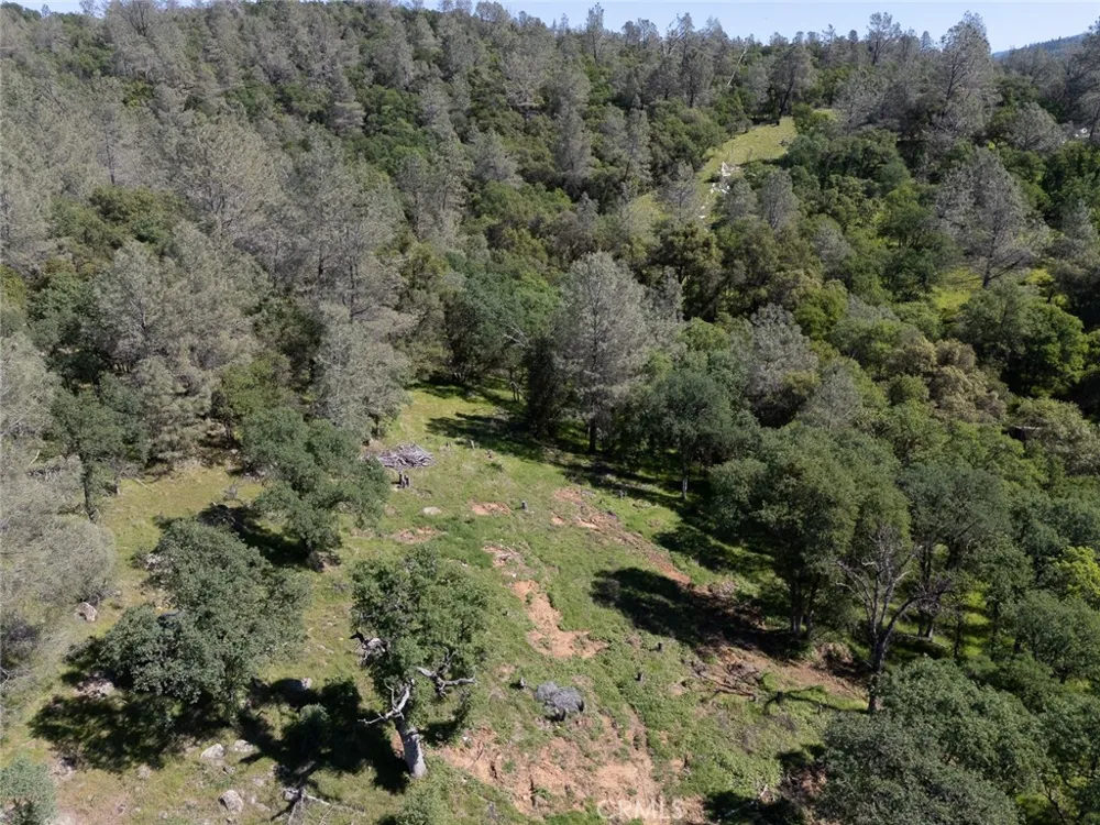 berwick lane Oroville, CA 95966
