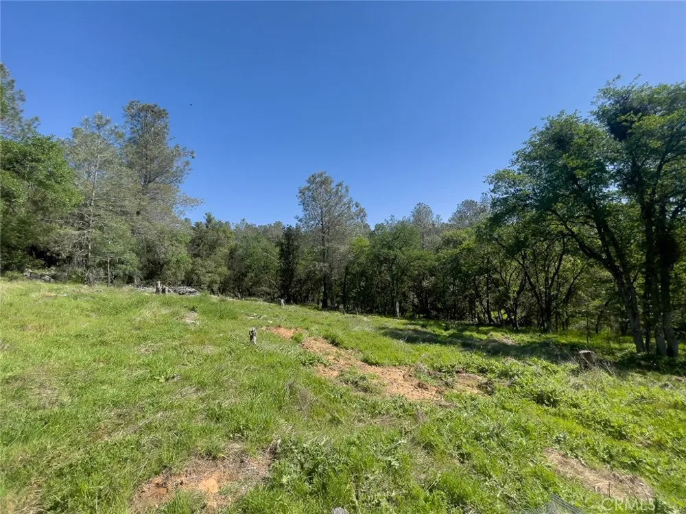 berwick lane Oroville, CA 95966