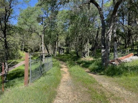 berwick lane