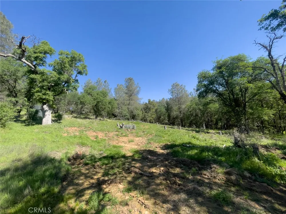 berwick lane Oroville, CA 95966