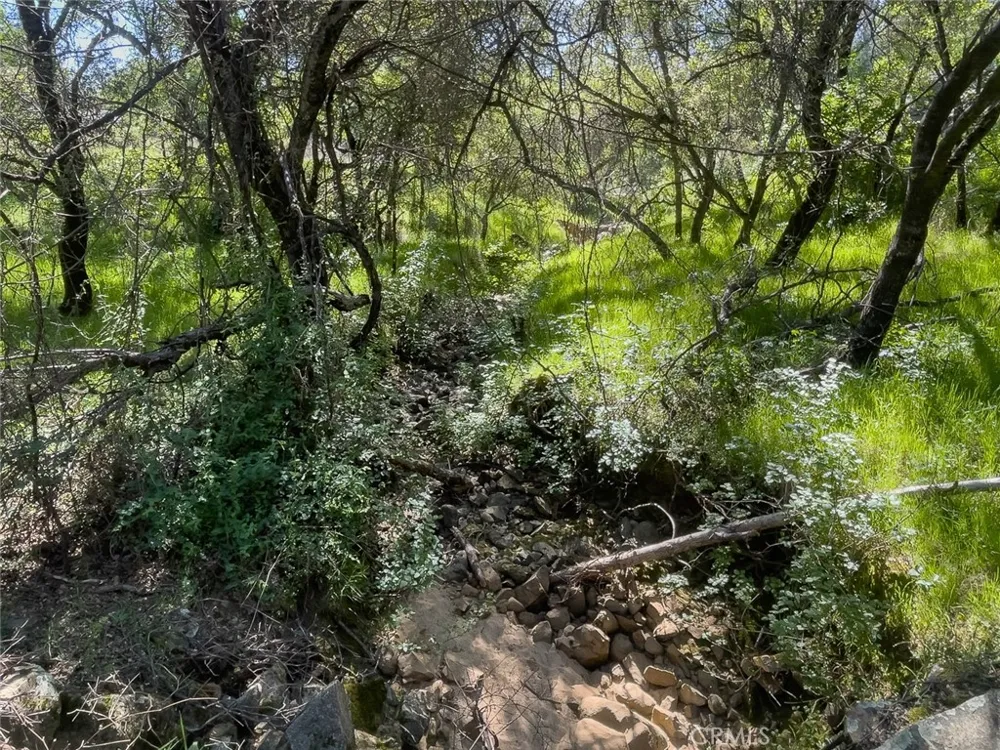 berwick lane Oroville, CA 95966