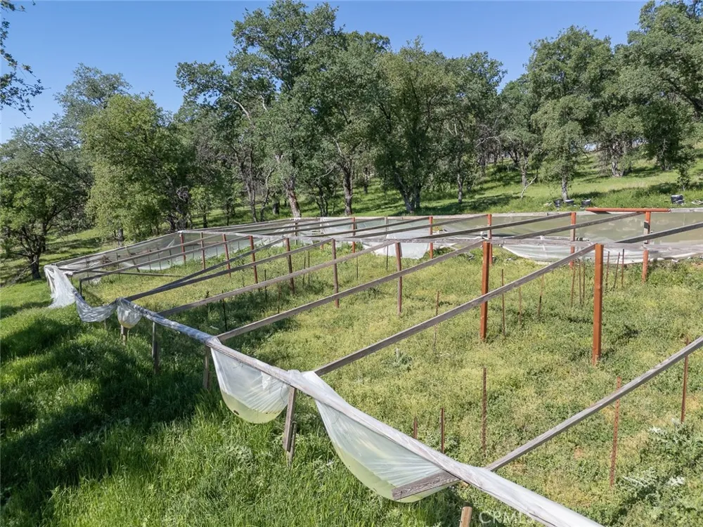 berwick lane Oroville, CA 95966