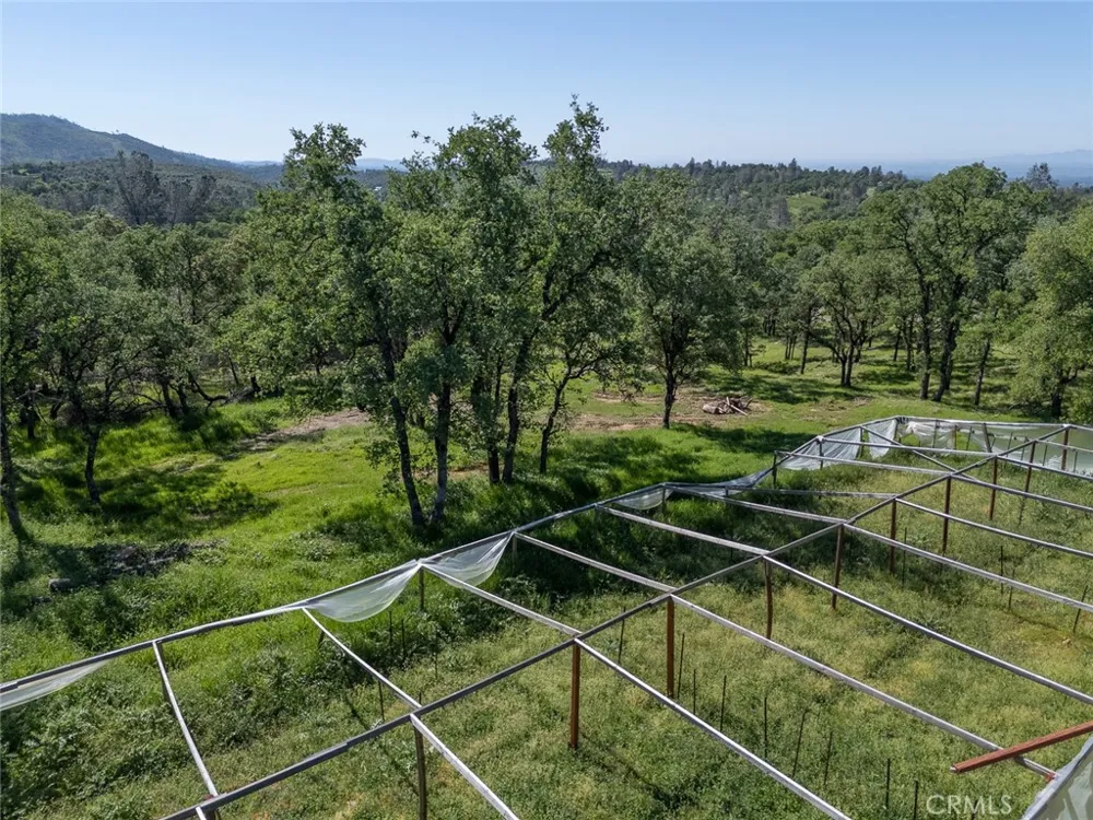 berwick lane Oroville, CA 95966