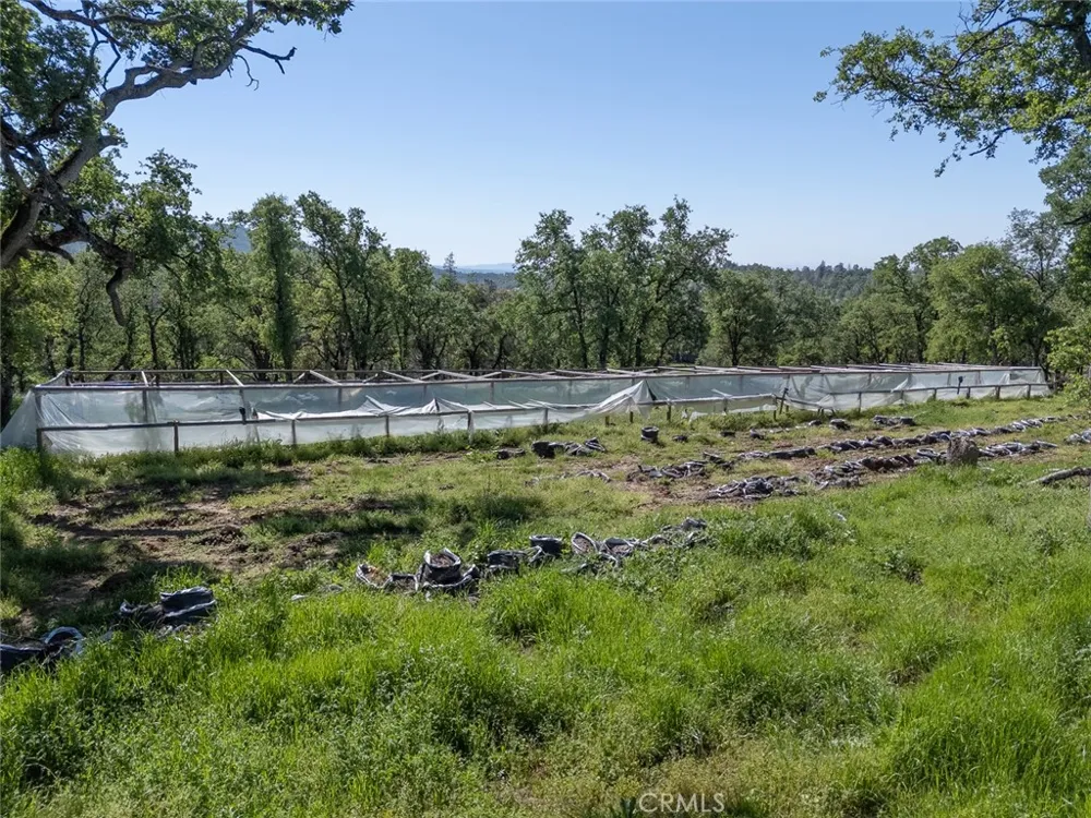 berwick lane Oroville, CA 95966