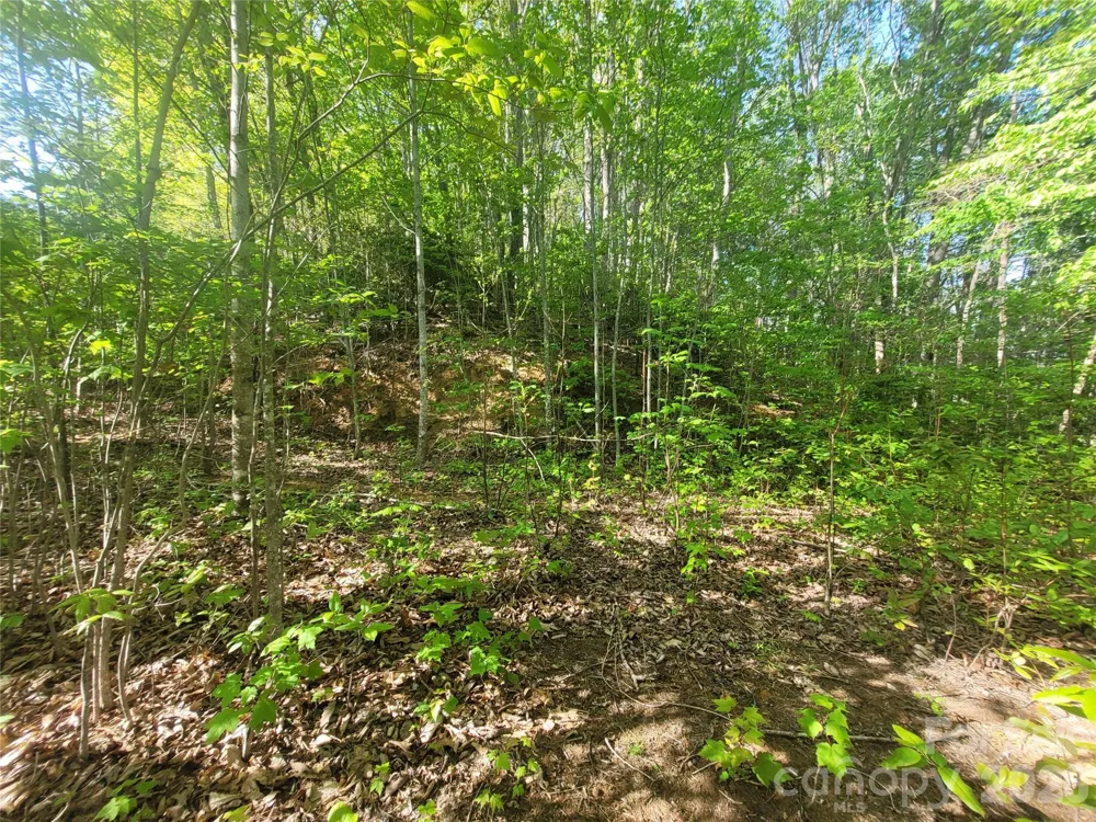 99999 Wolverine Court #53 Waynesville, NC 28785