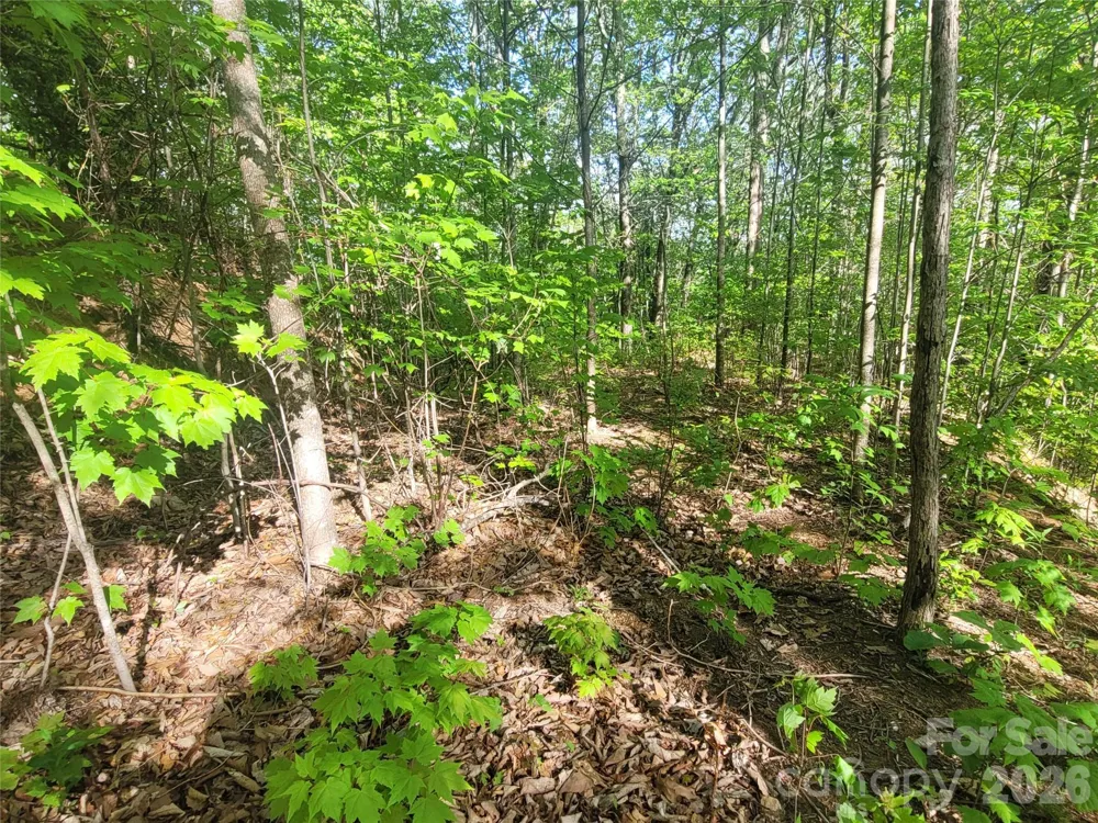 99999 Wolverine Court #53 Waynesville, NC 28785