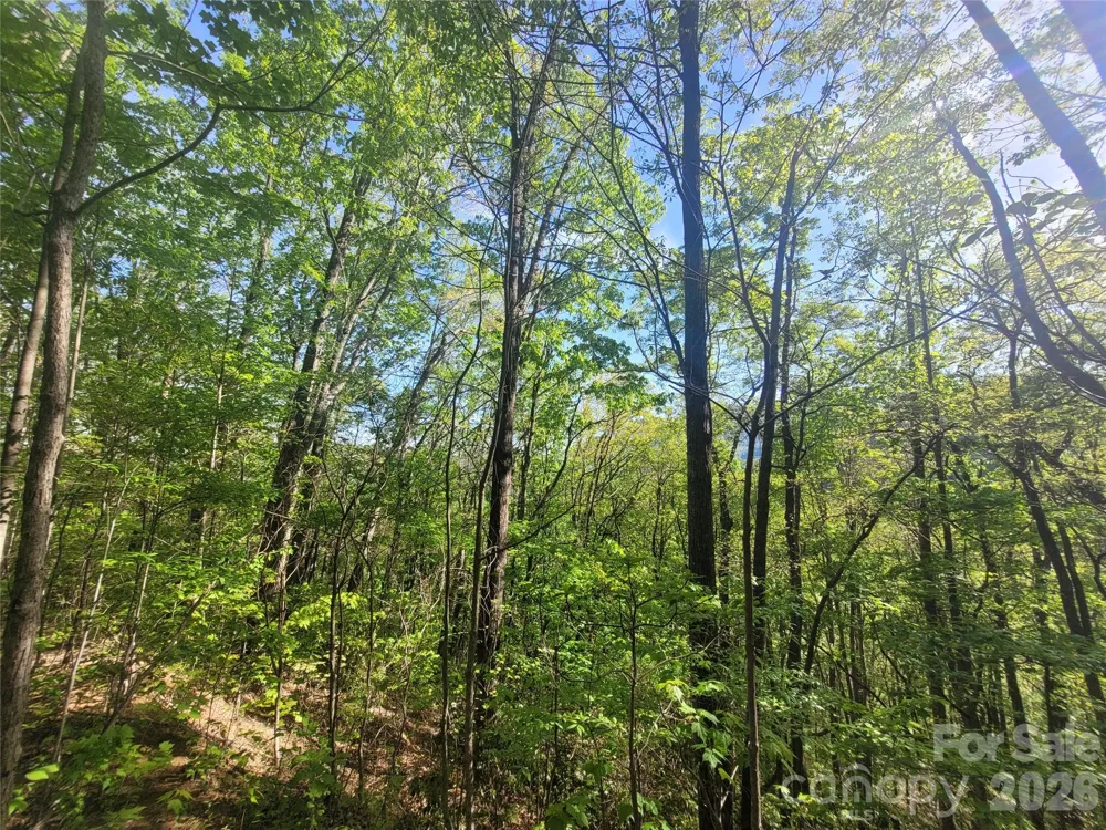 99999 Wolverine Court #53 Waynesville, NC 28785