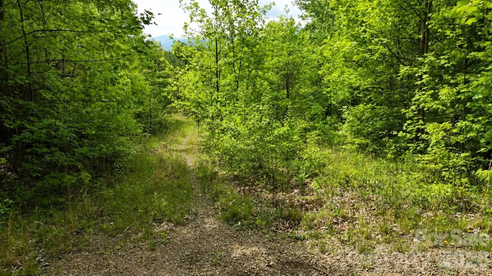 99999 Wolverine Court #53 Waynesville, NC 28785