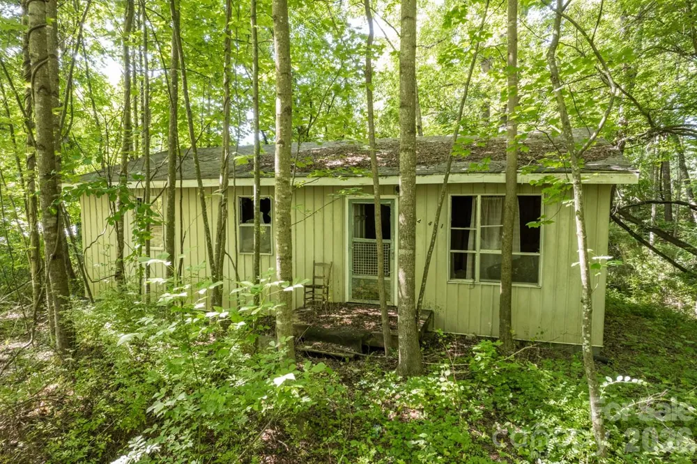17 Chicago Avenue Black Mountain, NC 28711