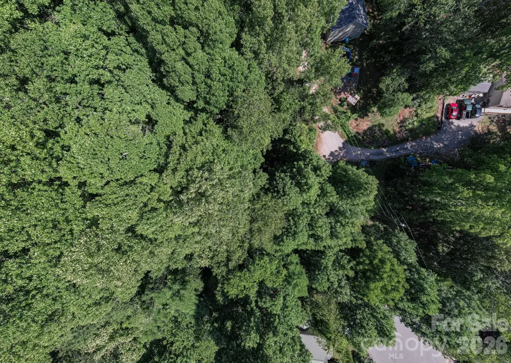17 Chicago Avenue Black Mountain, NC 28711