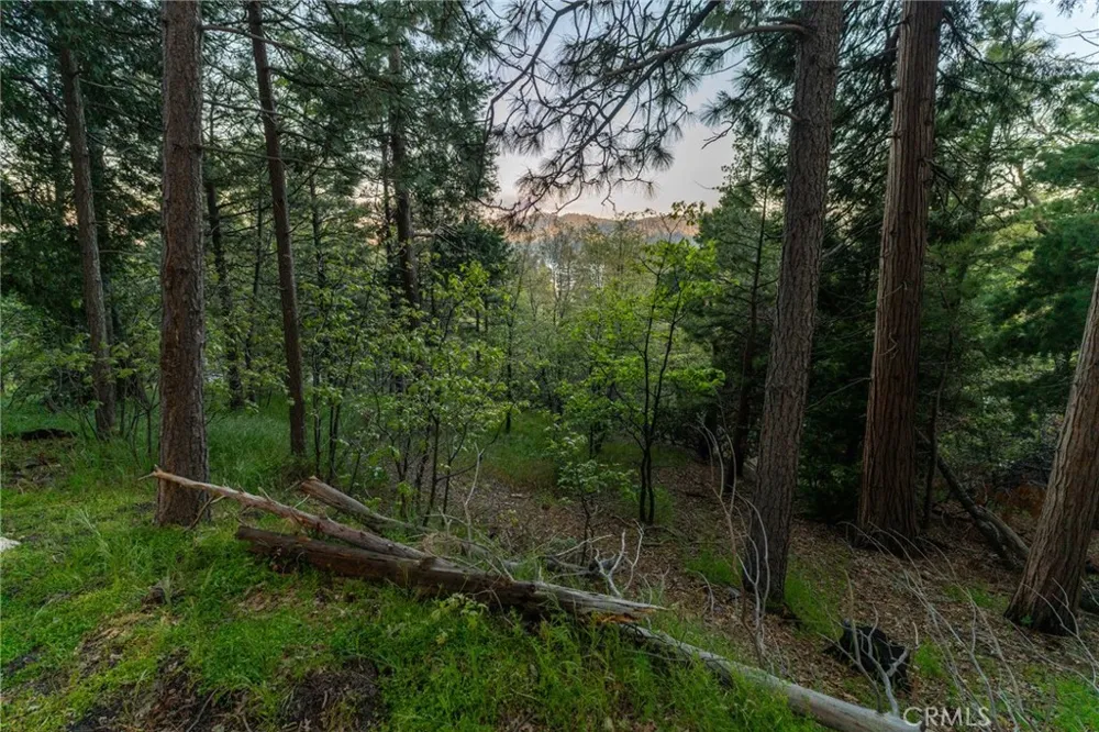 27488 North Bay Road Lake Arrowhead, CA 92352