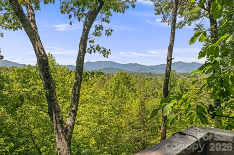 5 Saddle Ridge
