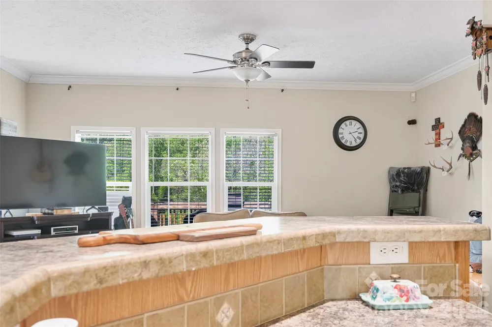 371 Starnes Cove Road Candler, NC 28715