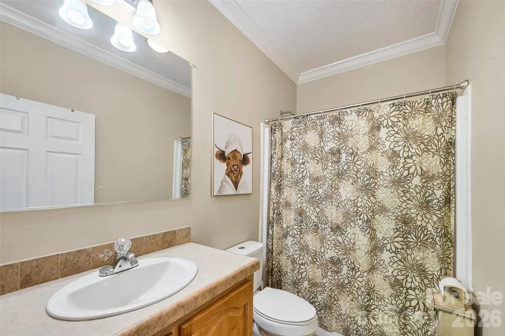 371 Starnes Cove Road Candler, NC 28715