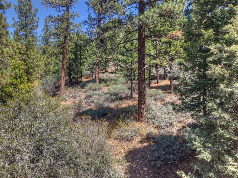 1099 Canyon Fawnskin, CA 92333