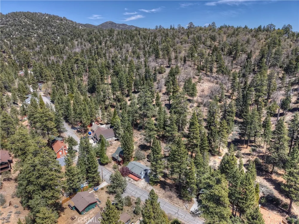 1099 Canyon Fawnskin, CA 92333