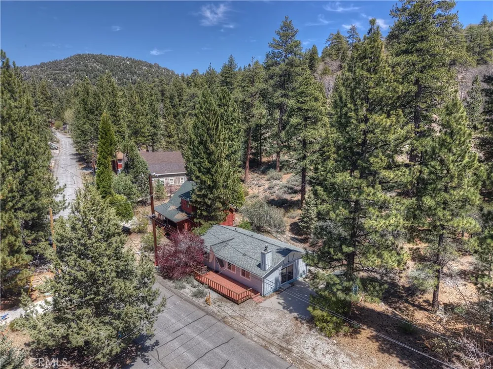 1099 Canyon Fawnskin, CA 92333