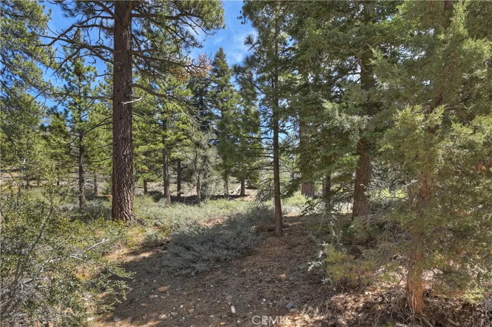 1099 Canyon Fawnskin, CA 92333