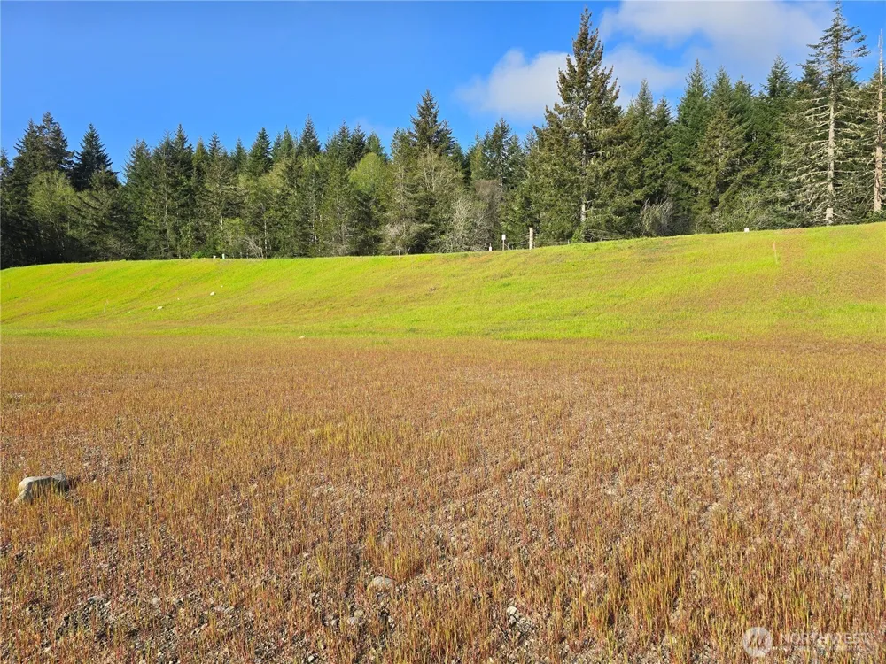 51 E Virgil Drive W Allyn, WA 98524