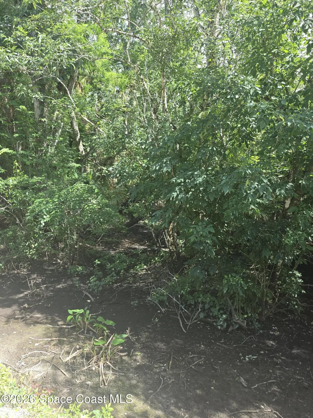 Harrison Road Mims, FL 32754