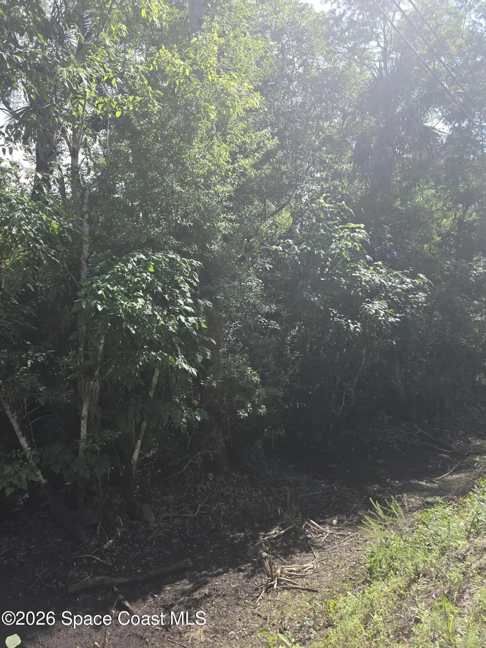 Harrison Road Mims, FL 32754