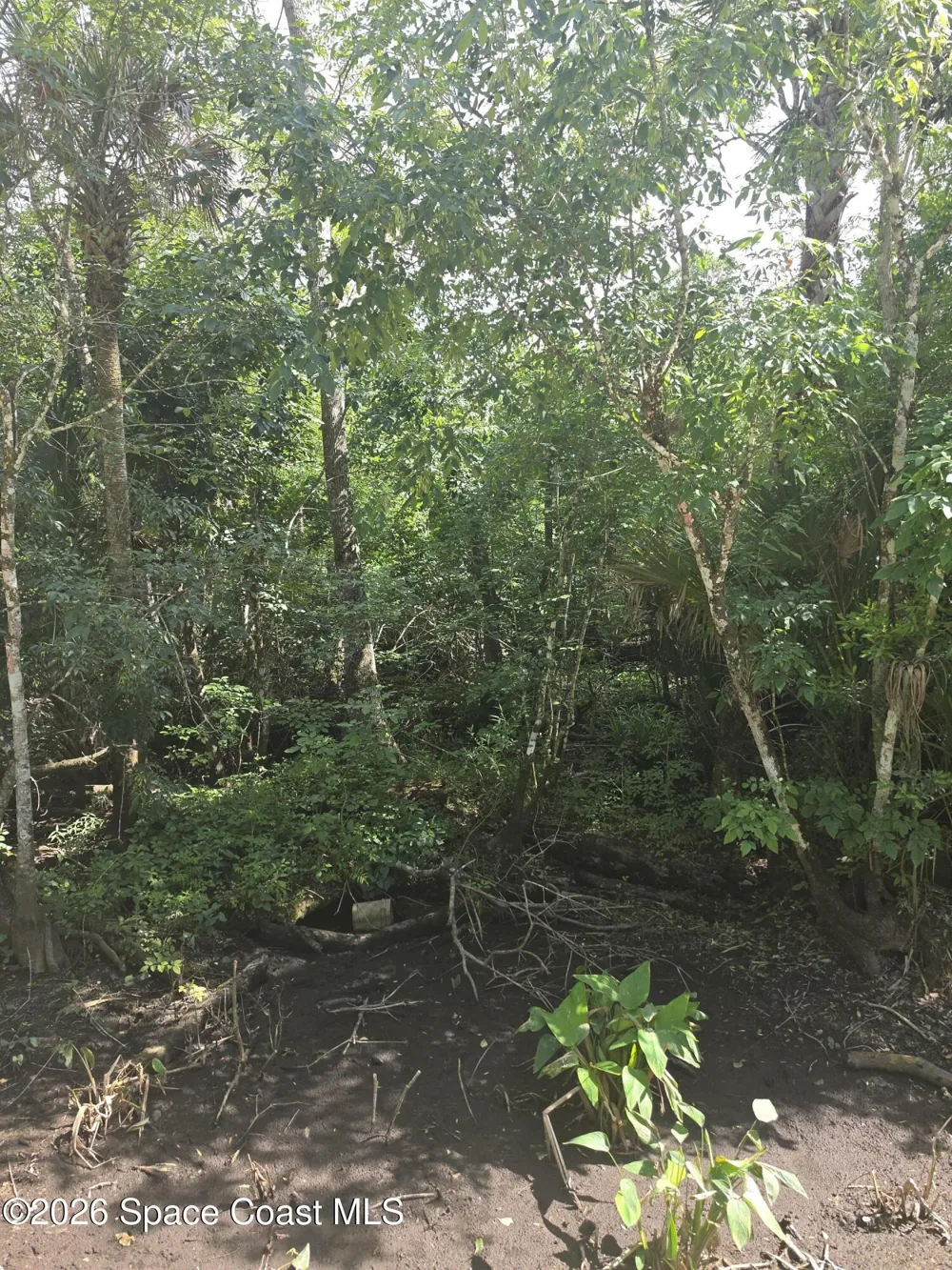 Harrison Road Mims, FL 32754