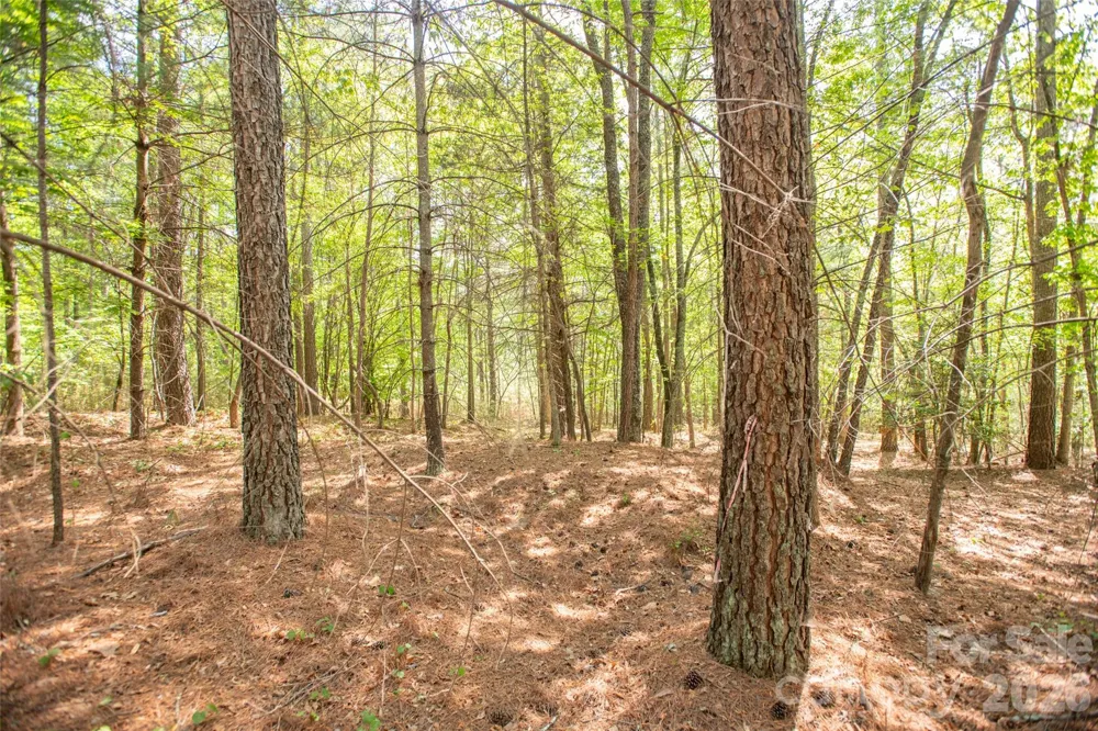 1518 W Paradise Harbor Drive Connelly Springs, NC 28612