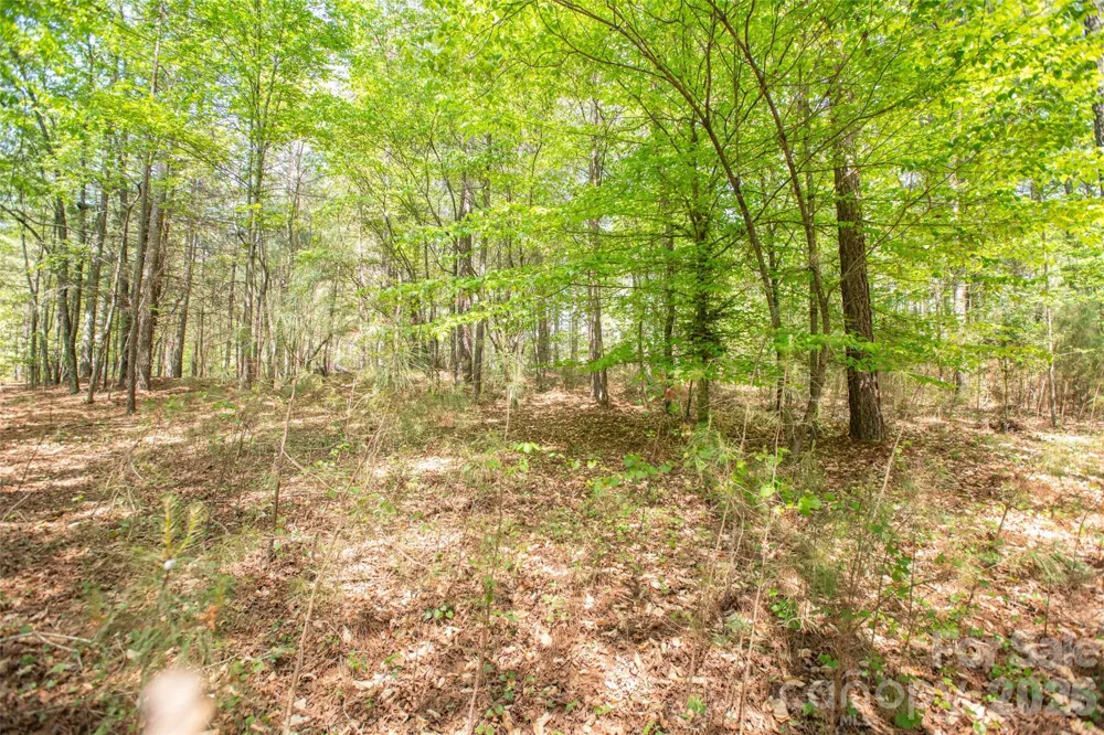 1518 W Paradise Harbor Drive Connelly Springs, NC 28612