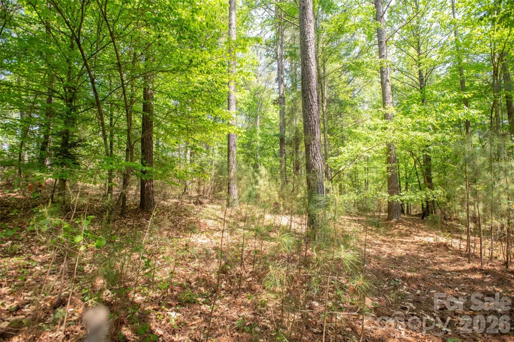 1518 W Paradise Harbor Drive Connelly Springs, NC 28612