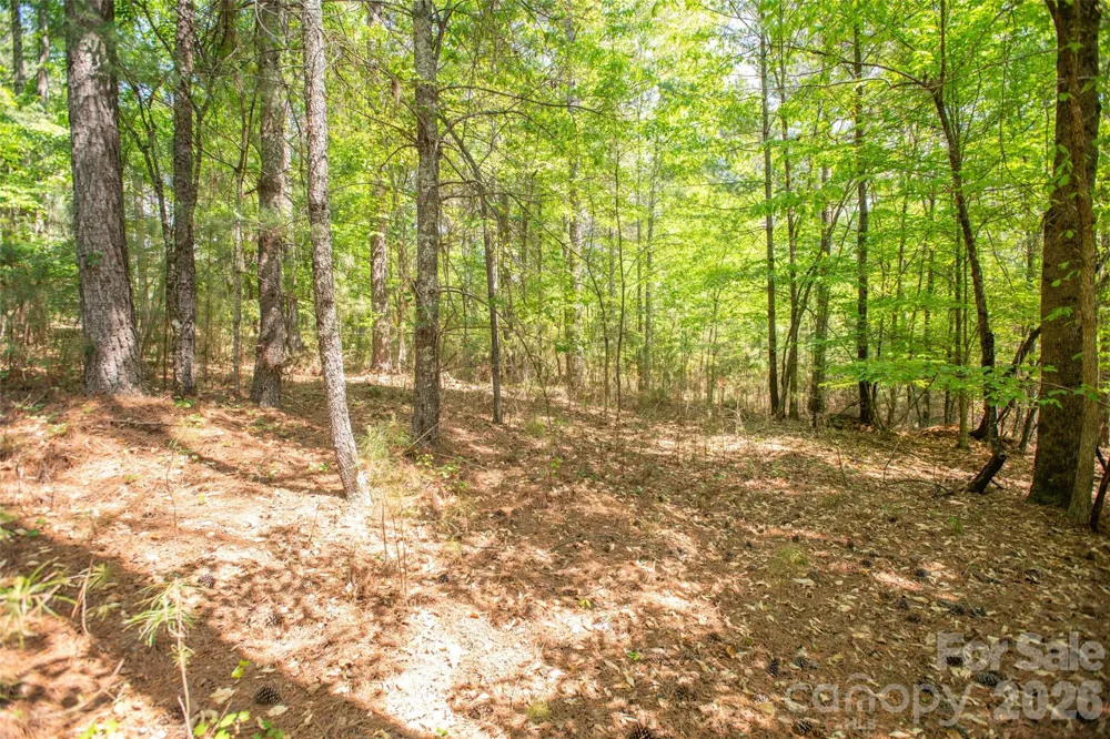 1518 W Paradise Harbor Drive Connelly Springs, NC 28612