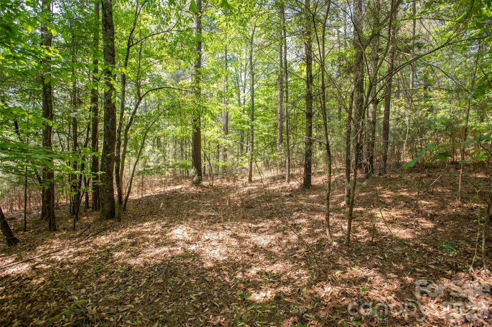 1518 W Paradise Harbor Drive Connelly Springs, NC 28612