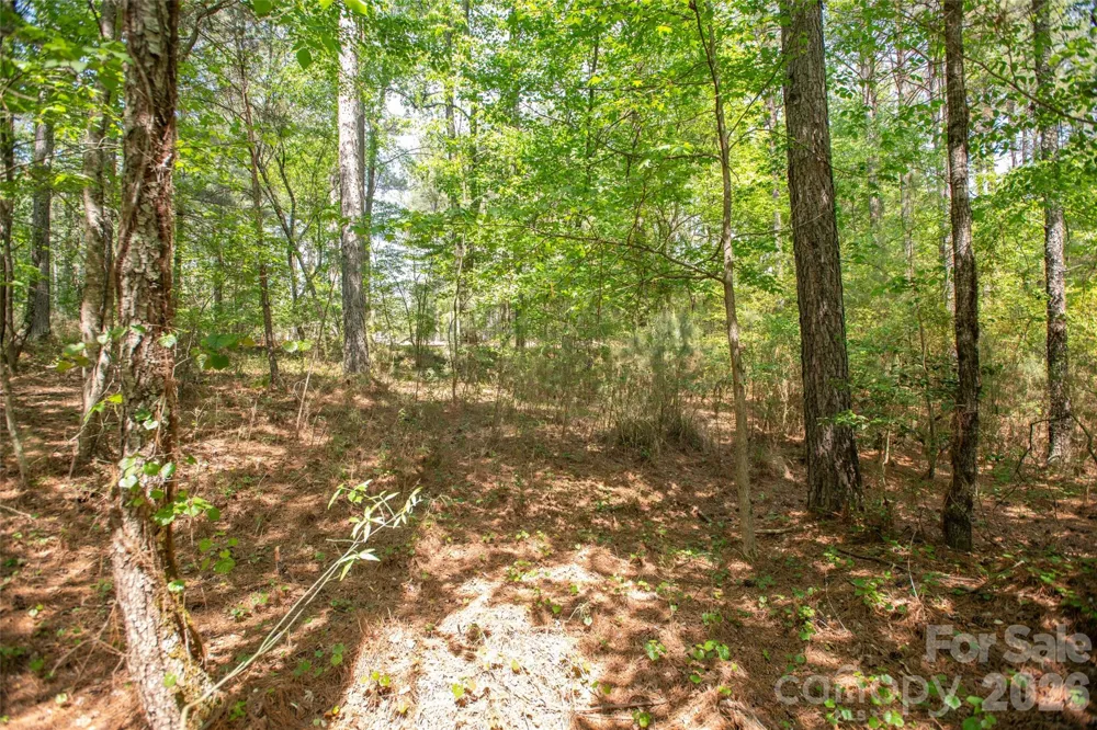 1518 W Paradise Harbor Drive Connelly Springs, NC 28612