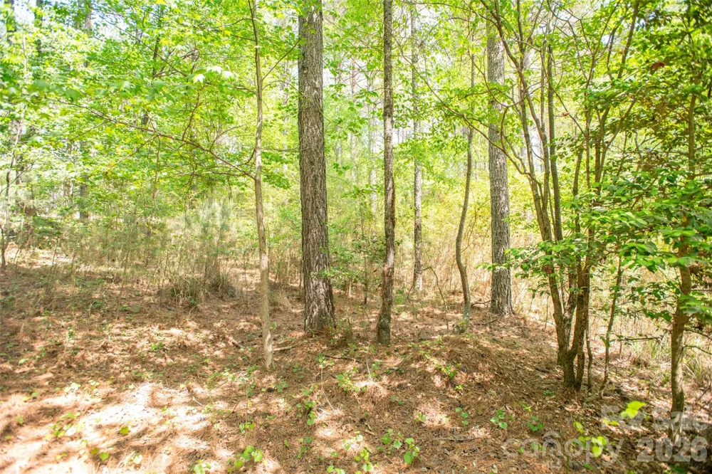 1518 W Paradise Harbor Drive Connelly Springs, NC 28612