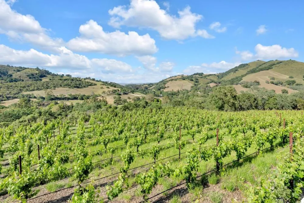 2315 Rockwood Ranch Road Morgan Hill, CA 95037