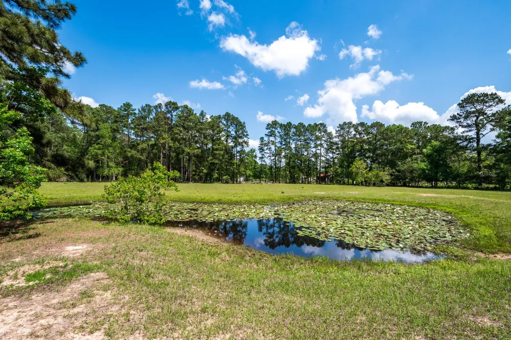 2870 Fostoria Tram Road Cleveland, TX 77328