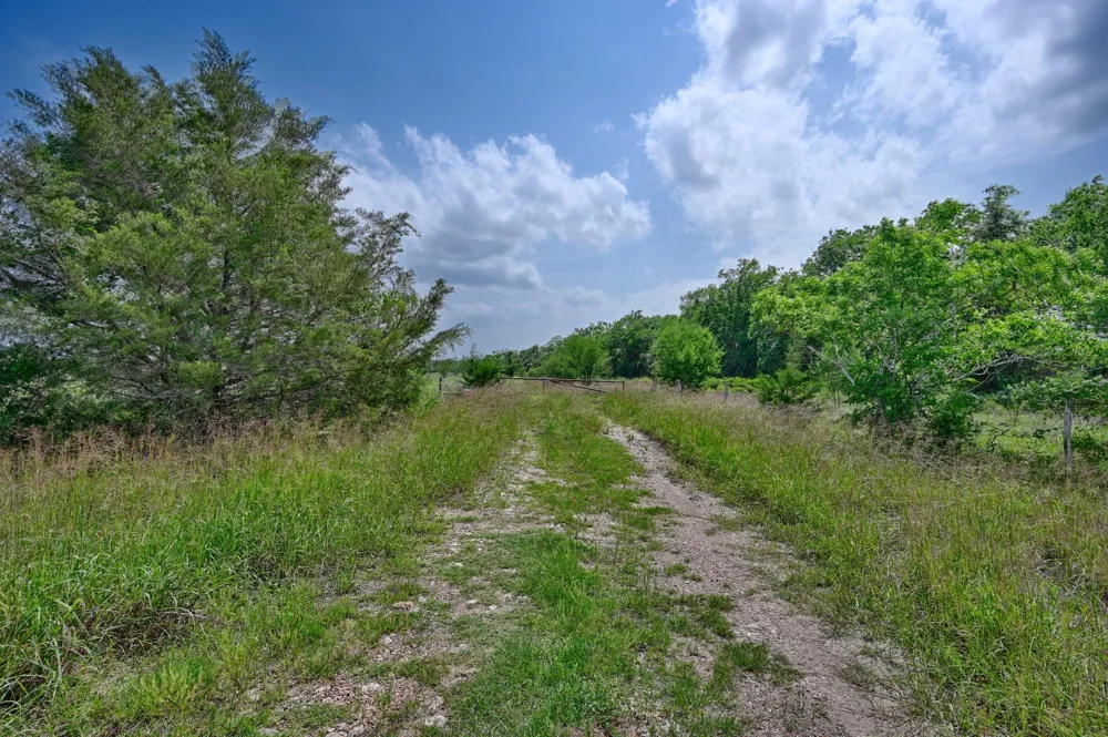 544 E Fm 1291 Round Top, TX 78954