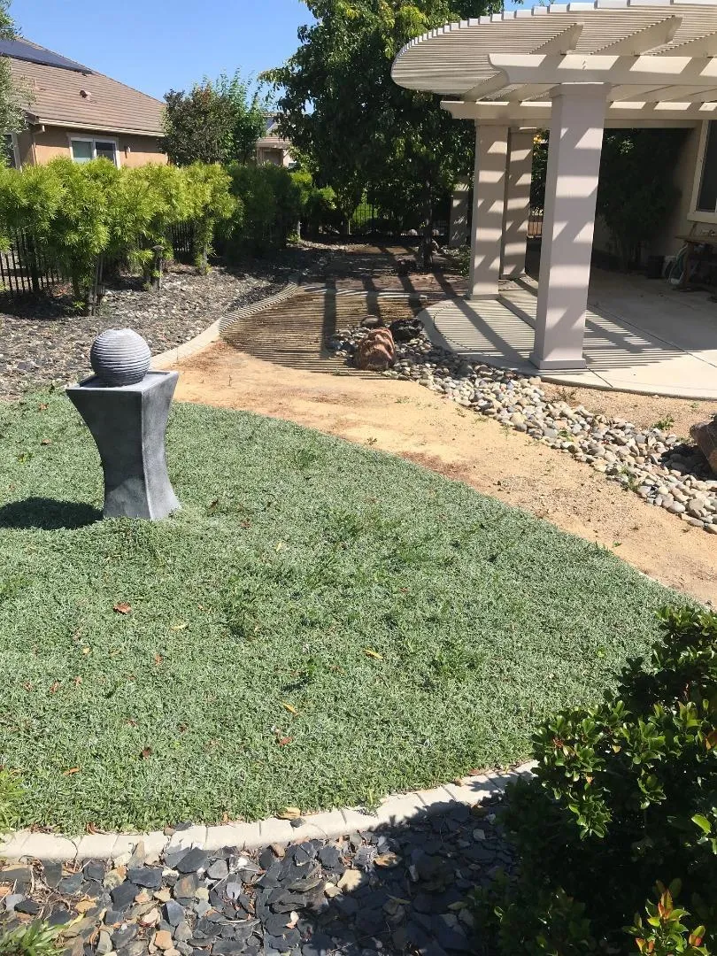 139 David Lamoree Way Rio Vista, CA 94571
