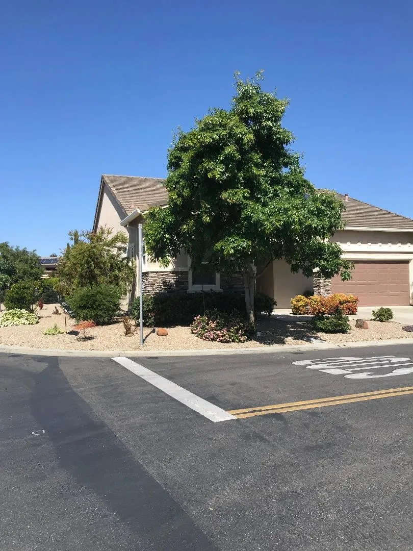 139 David Lamoree Way Rio Vista, CA 94571