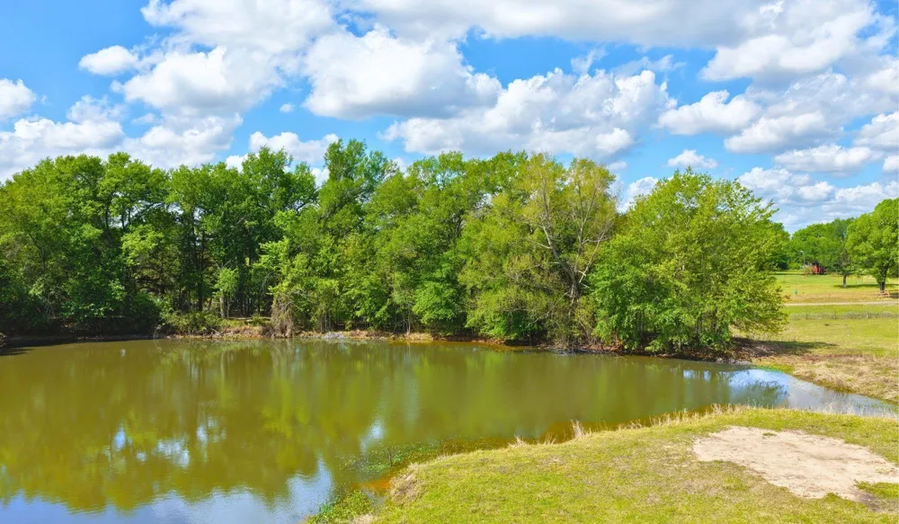 5916 Private Road 2003 - 17 Acres Caldwell, TX 77836