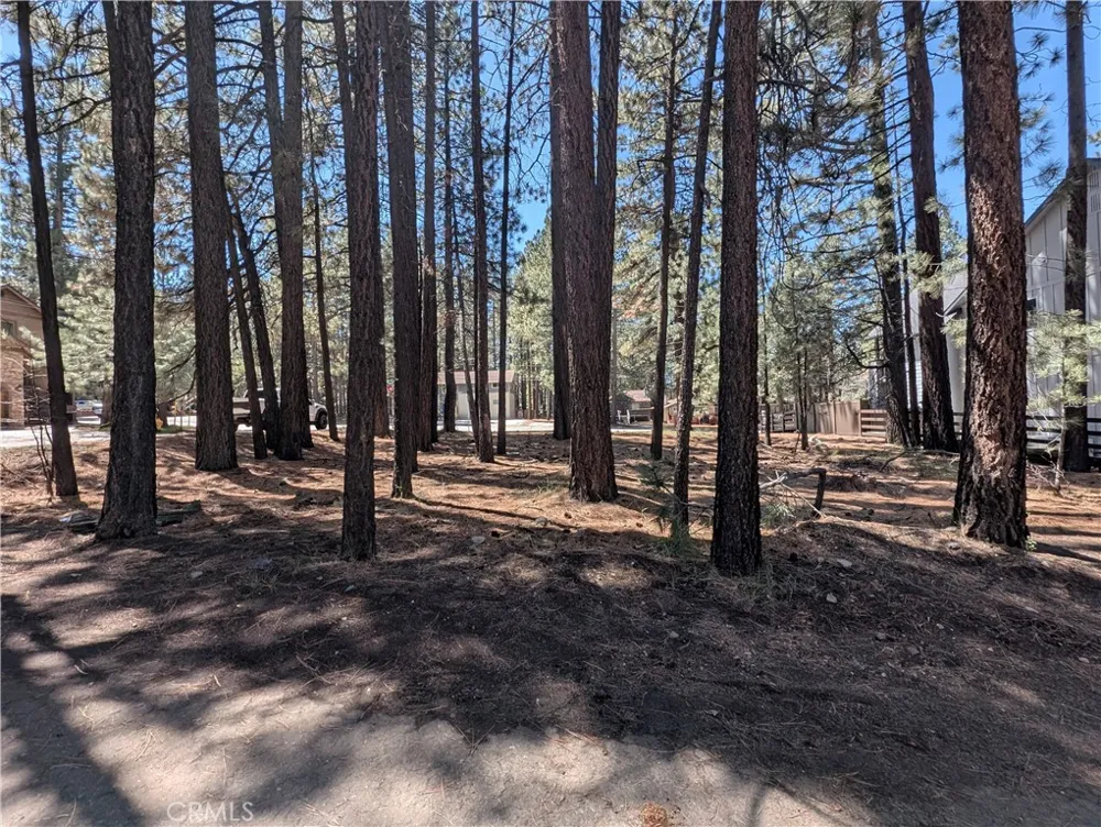 689 Summit Boulevard Big Bear Lake, CA 92315
