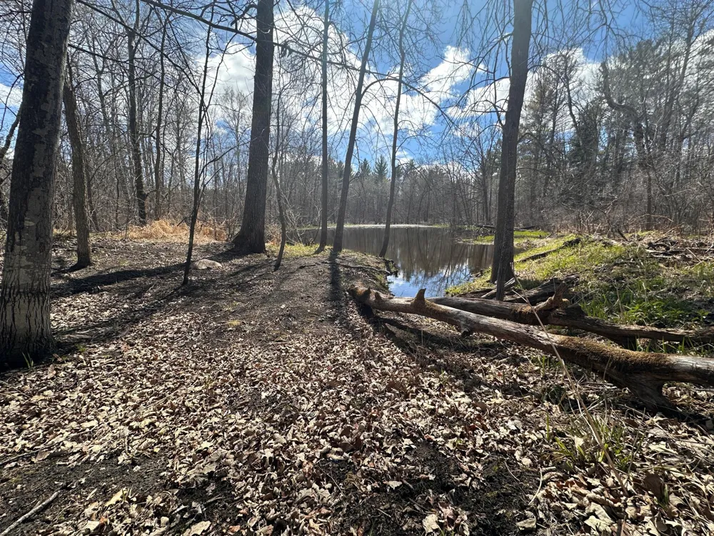 TBD Bass Lake Road Osage, MN 56570